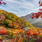 화담숲 예약