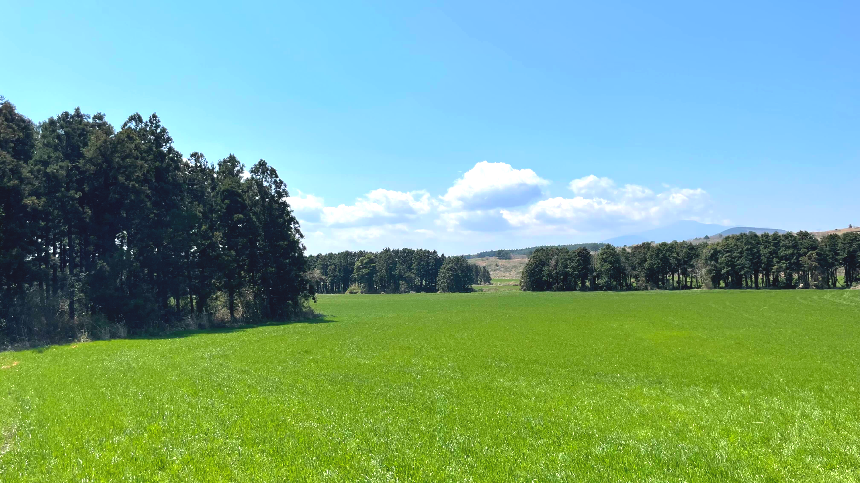 비밀의 숲 목초지2