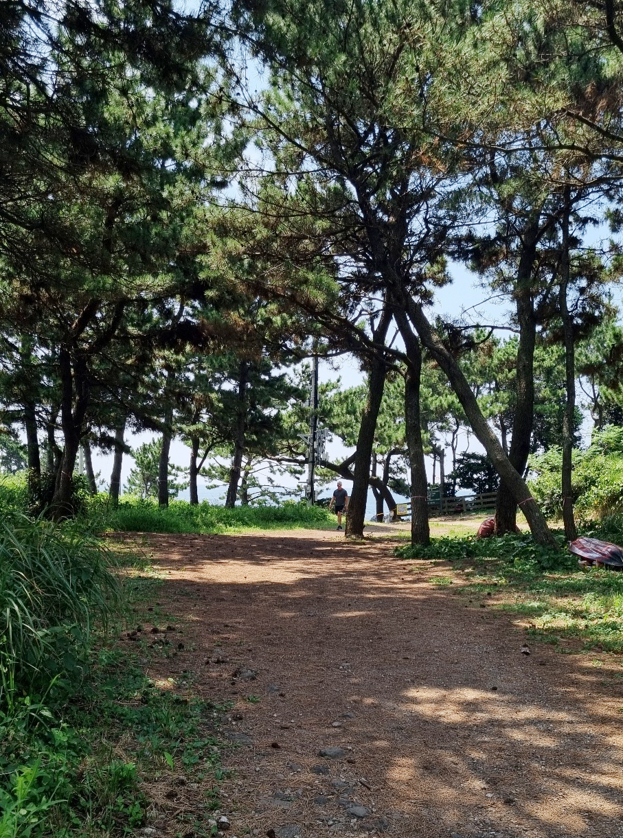 제주 도리빨