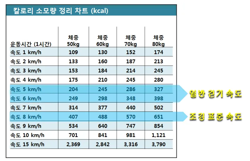 걷기 칼로리 계산기 걸음수 소비 칼로리_3