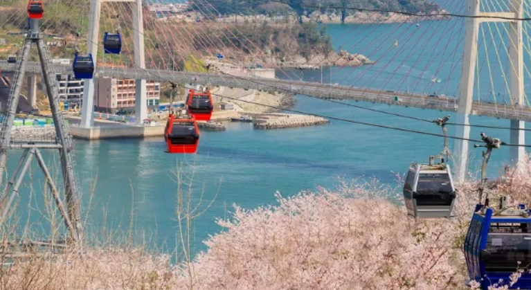 여수 가볼만한곳 2025년 신상 여행지