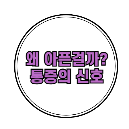 왜 아픈걸까? 통증의 신호