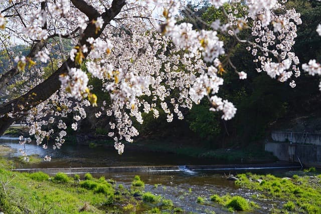 작은 마을의 탐험과 전설