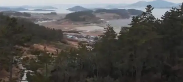 달리도