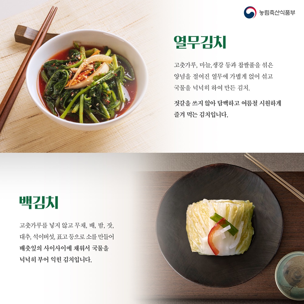 김치의 날 카드뉴스4