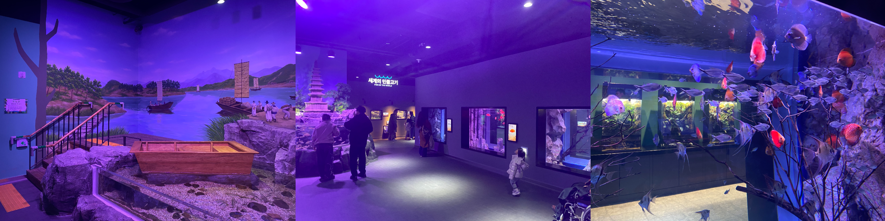 충주 아쿠아리움 민물고기