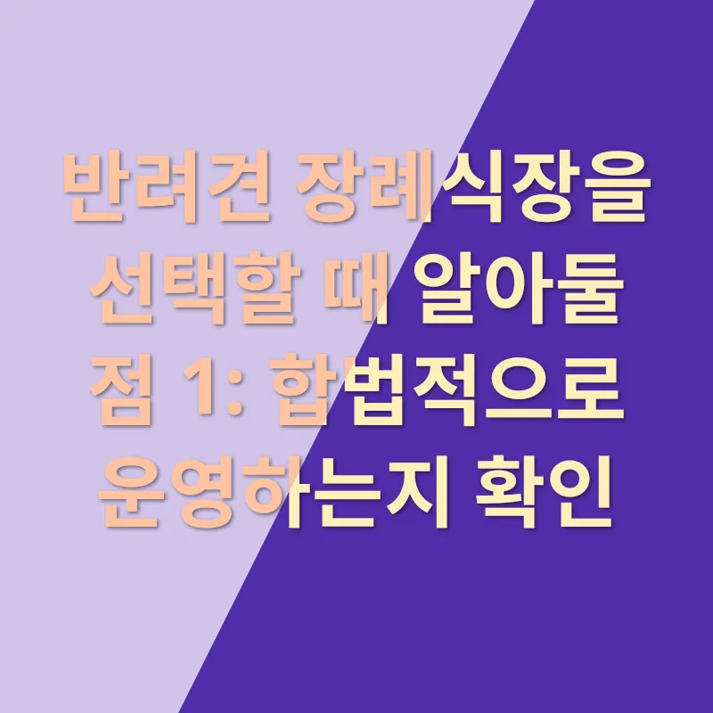 반려견 장례식장_4