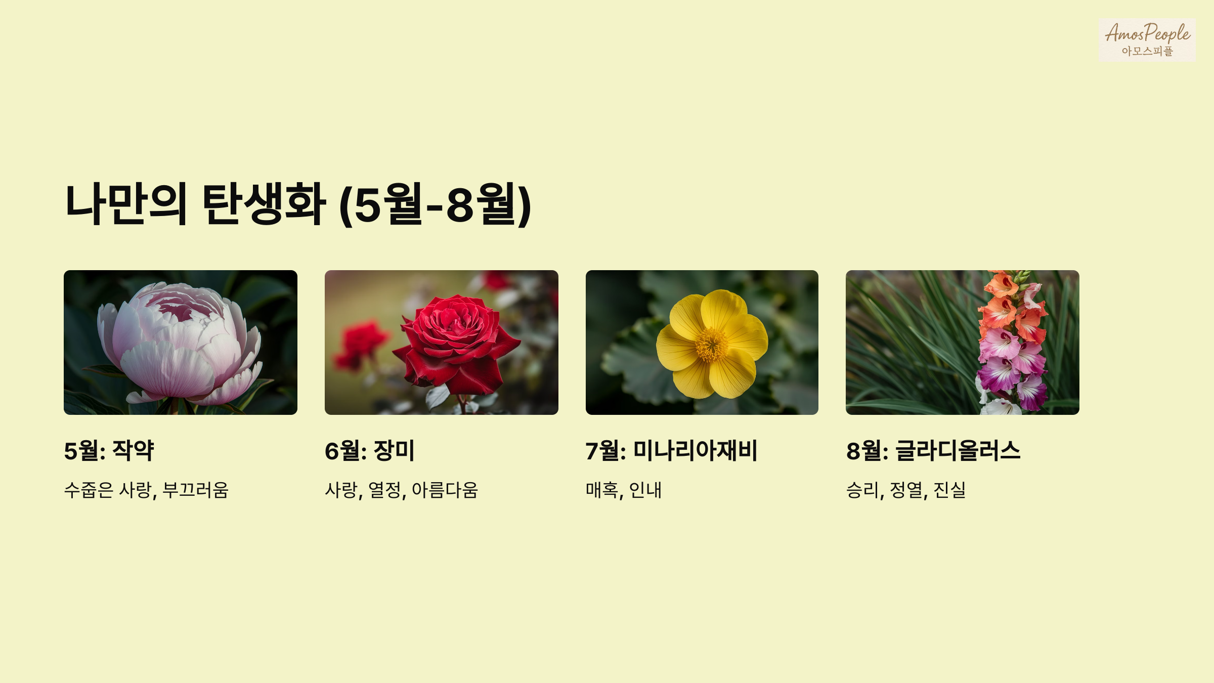 5월 ~ 9월 월 탄생화 꽃말 의미