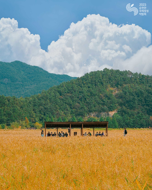 순천만 갈대축제
