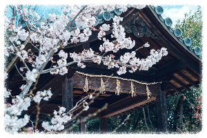 나고야 코쇼지 절