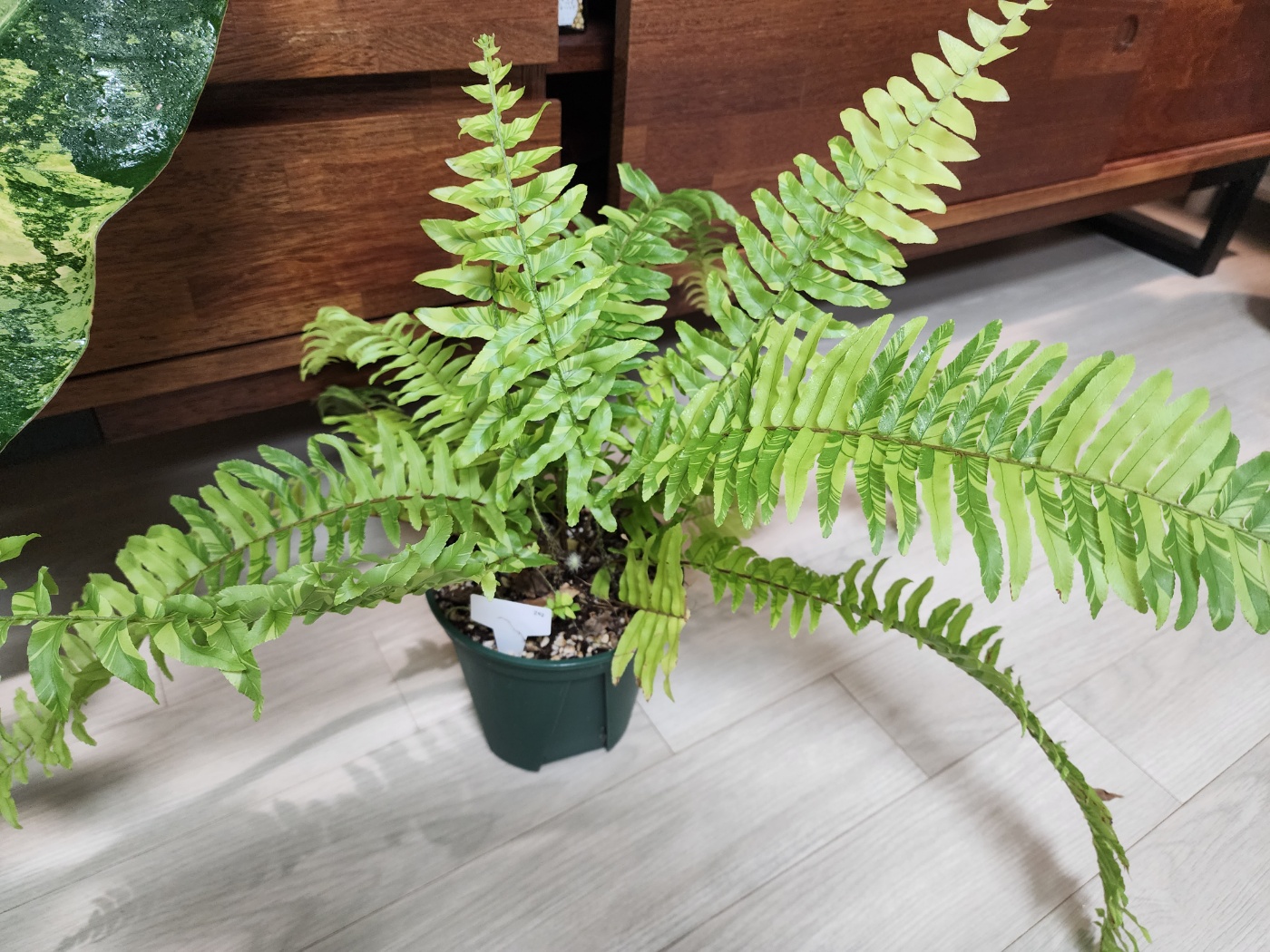 처음 집에왓을때의 모습