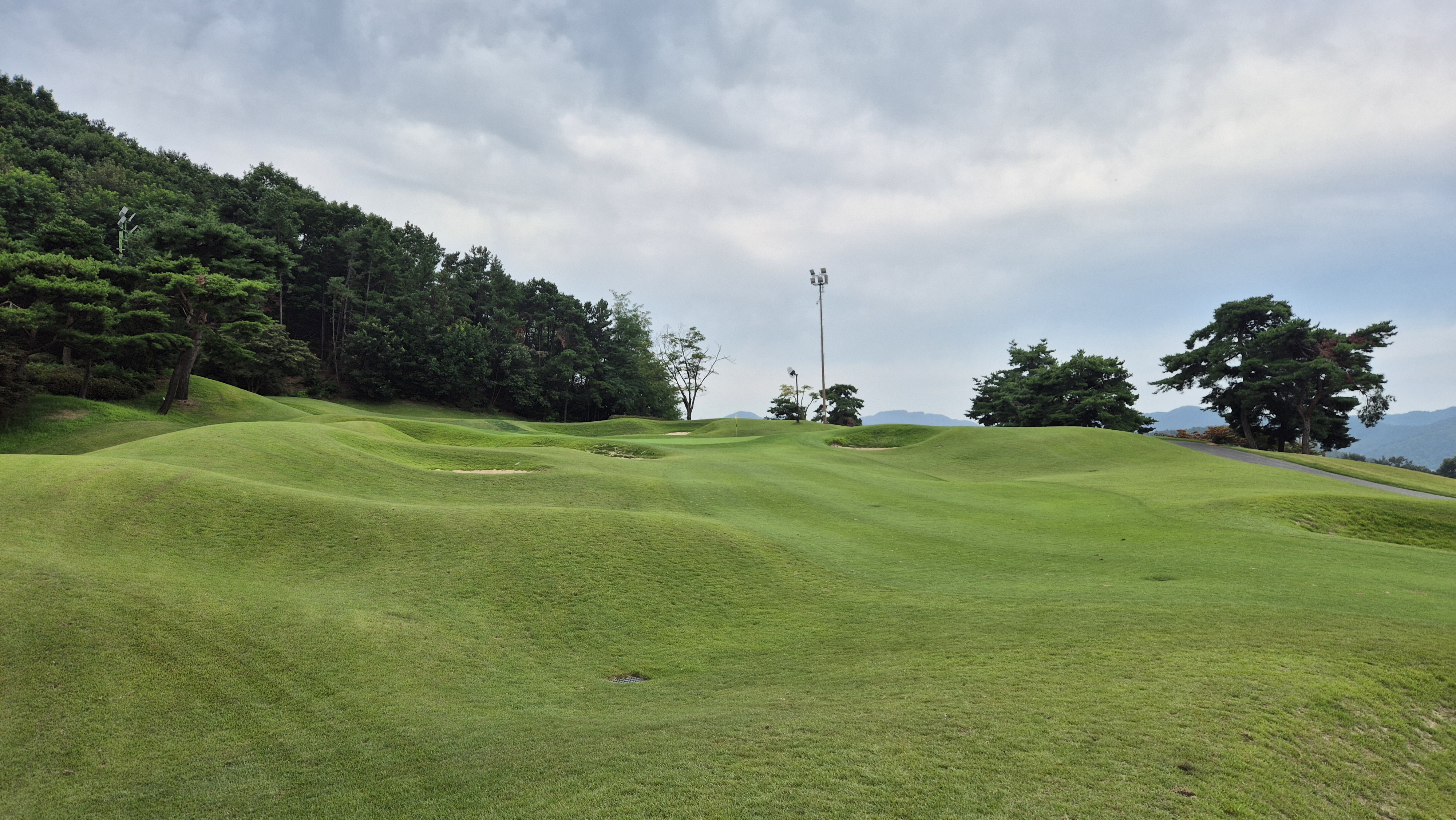 한림용인cc 다이아몬드-사파이어 코스 사진 및 공략 정보