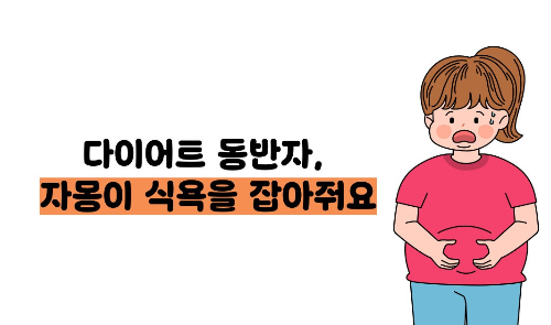 자몽 효능