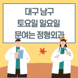 대구 남구 토요일 일요일 정형외과 진료 문여는 병원 리스트