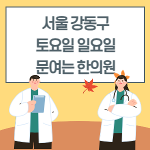 서울 강동구 토요일 일요일 한의원 진료 병원 리스트