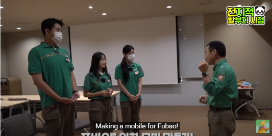 푸바오 생일잔치 판다 번식기