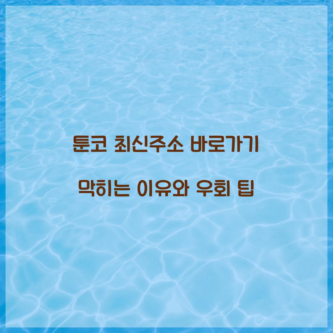 툰코 최신주소 바로가기 막히는 이유와 우회 팁