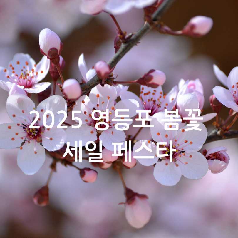 2025 영등포 여의도 봄꽃축제