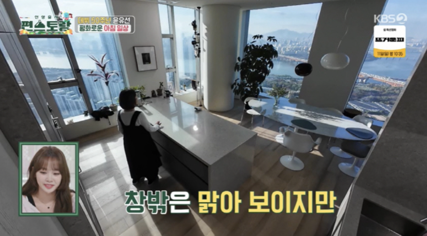 배우 윤유선 집