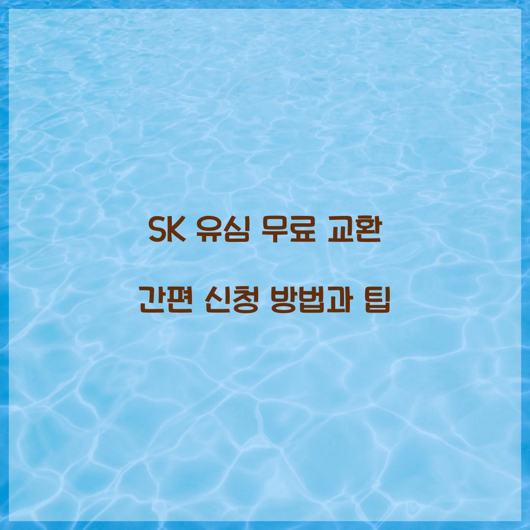 SK 유심 무료 교환