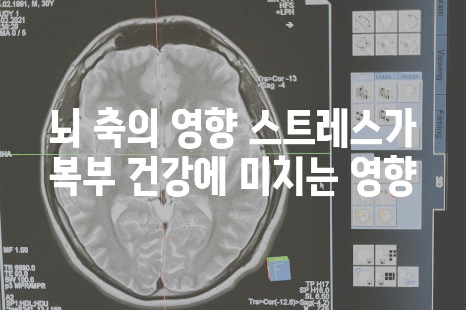 뇌 축의 영향 스트레스가 복부 건강에 미치는 영향