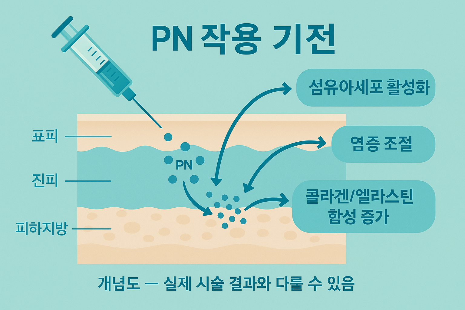 PN의 작용기전 모식도