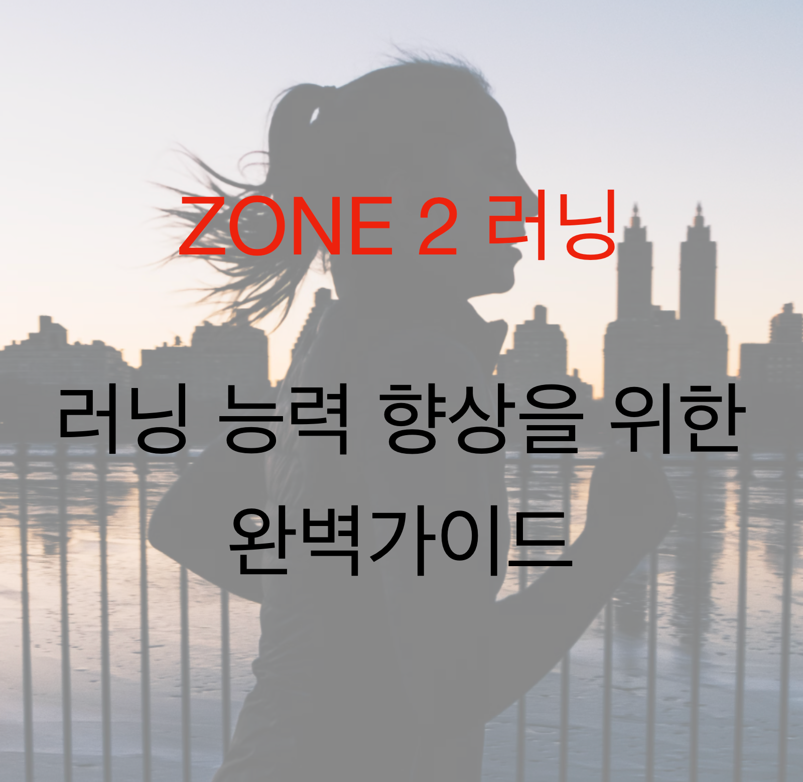 Zone2 러닝(존2)