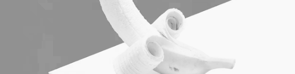 바나나껍질 일반쓰레기: 환경 보호