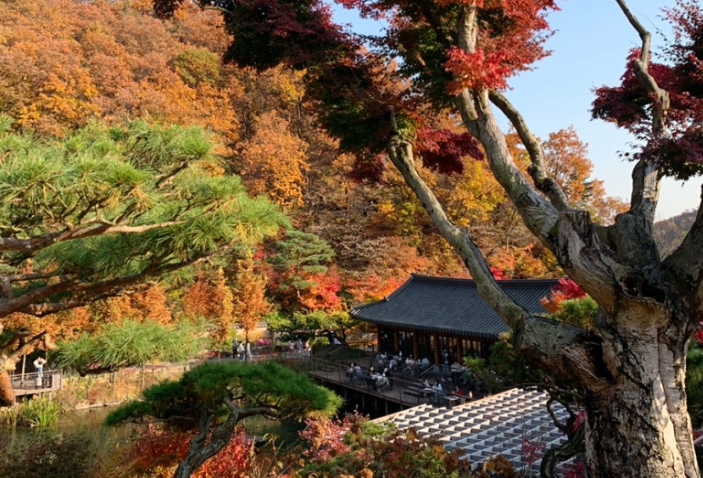 화담숲