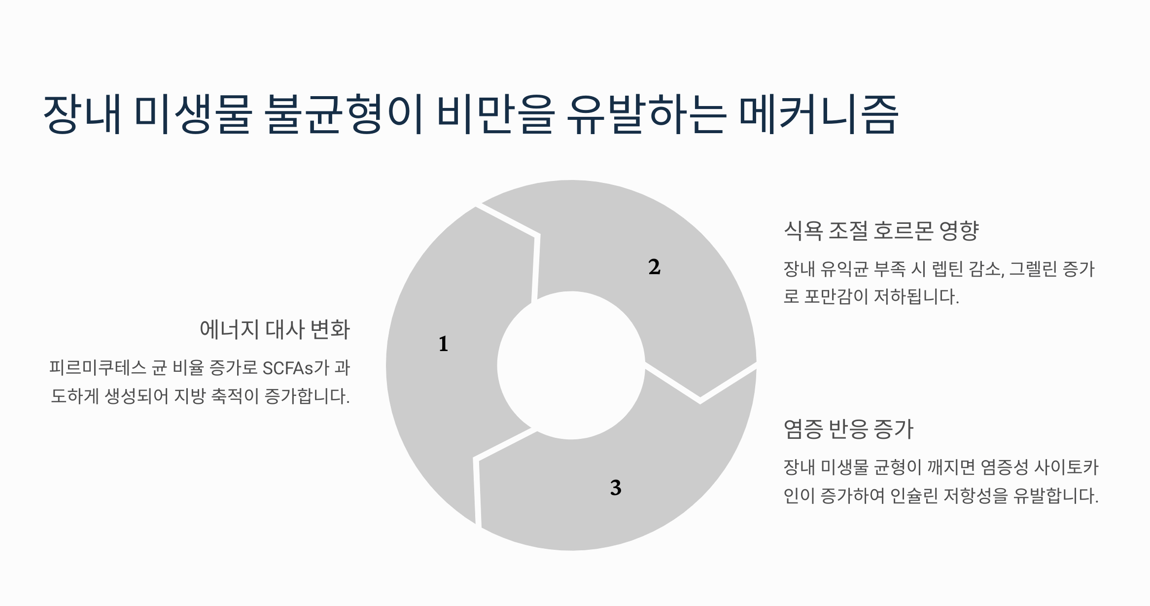 장내미생물 불균형이 비만을 유발하는 메커니즘을 설명하는 그래픽