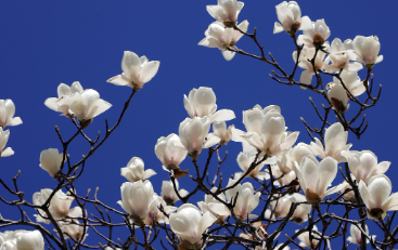 화담숲-예약하기