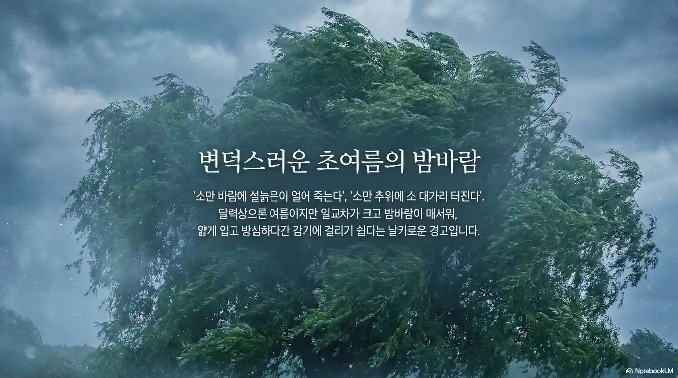 소만 관련 속담