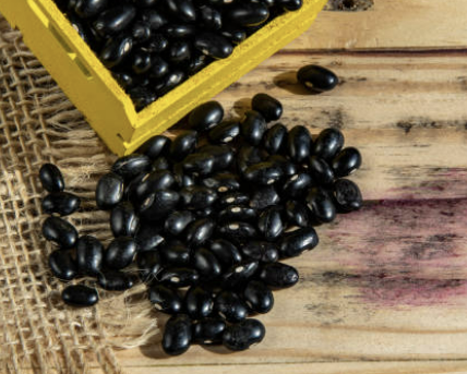 서리태 효능과 부작용 서리태 콩물 만드는 방법 총정리(24년 Ver)