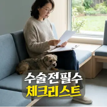 수술 전 필수 체크리스트
동물병원 대기실에서 보호자(한국인)가 반려견의 수술 전 안내문과 체크리스트를 꼼꼼히 확인하고 있는 모습
