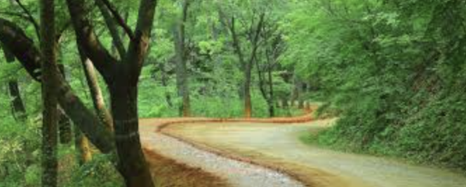 계족산 황톳길 주요 정보