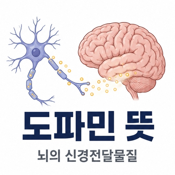 뇌와 신경세포 사이에서 신호를 전달하는 신경전달물질인 도파민의 뜻을 표현한 이미지