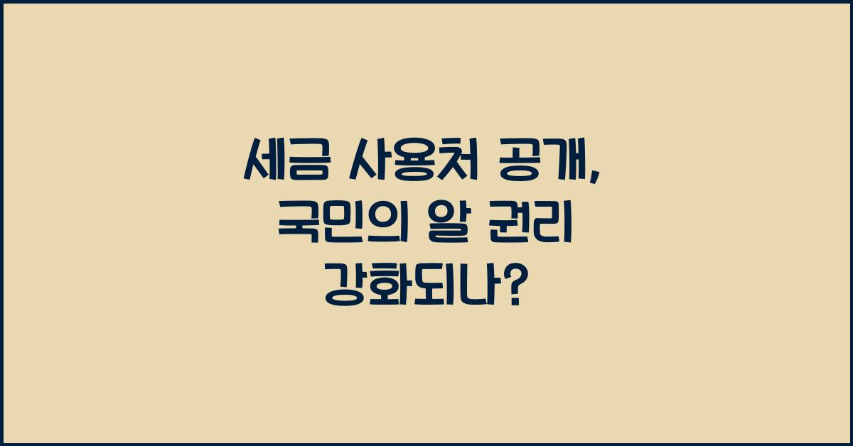 세금 사용처 공개