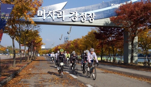 핑크뮬리 (Pink Muhly) 핑크뮬리 절정 시기 (Pink Muhly peak season) 핑크뮬리 명소 (Pink Muhly spots) 핑크뮬리 사진 촬영 팁 (Pink Muhly photography tips) 가을 꽃 (autumn flowers)