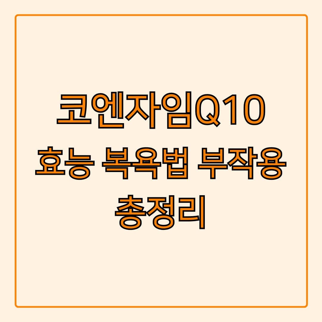 코엔자임Q10의 모든 것, 40대 이후 꼭 챙겨야 하는 이유