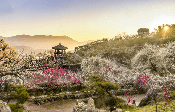 3월여행지추천&amp;#44; 가볼만한곳&amp;#44; 봄꽃여행