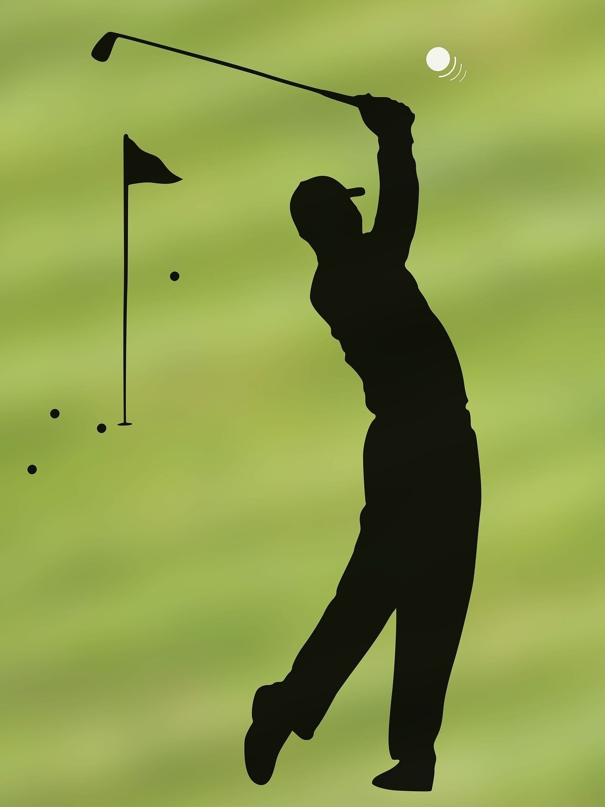 타이어 우즈 그림자 모형 사진