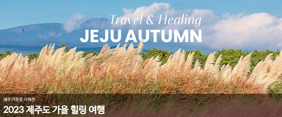 제주여행: 마법 같은 섬에서의 아름다운 추억을 만들기