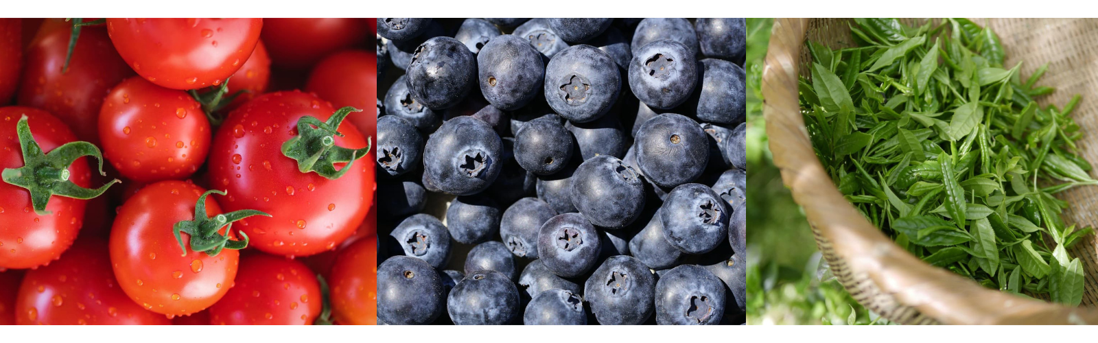 피부 노화 막는 음식 6가지, 동안 피부 지키는 습관