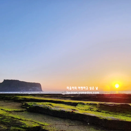 해돋이 명소 추천