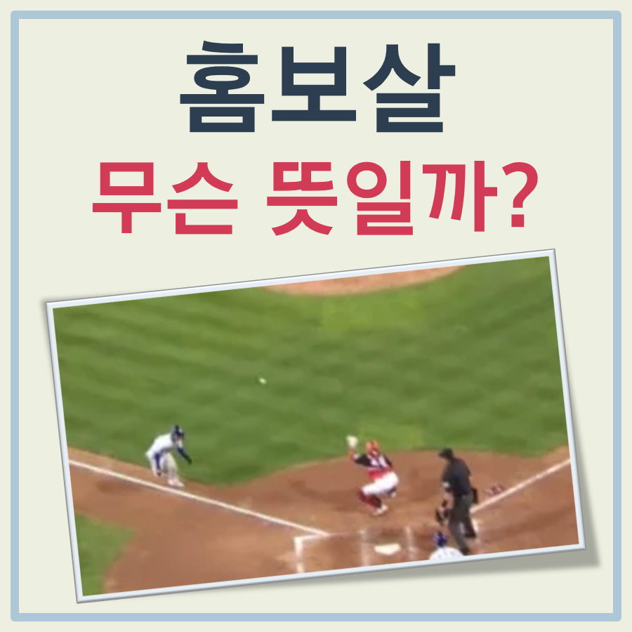 야구 홈보살 뜻 대표 이미지