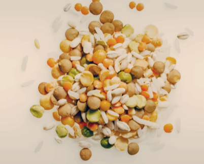 비오틴 많은 음식