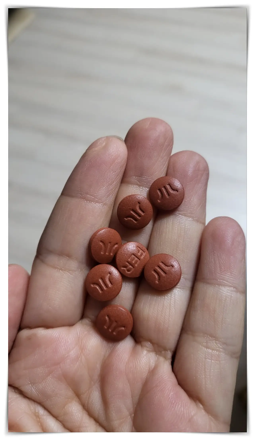 갈색제형-빈혈약-손바닥위에 놓여진 약들