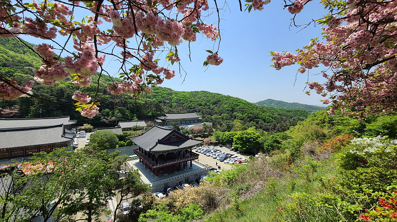 천안 각원사