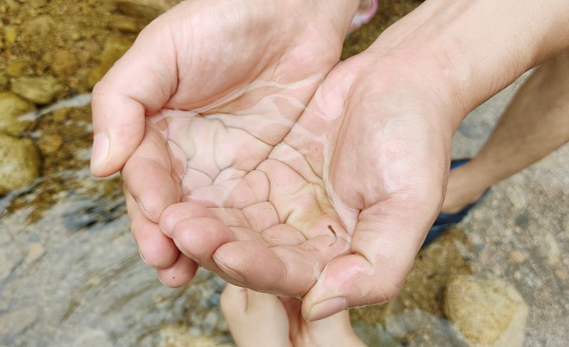 재빨리 들어올려 잡은 송사리