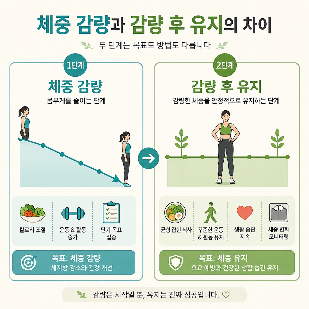 체중을 처음 줄이는 과정과 감량한 체중을 유지하는 과정을 구분한 인포그래픽
